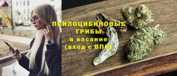твердый Надым