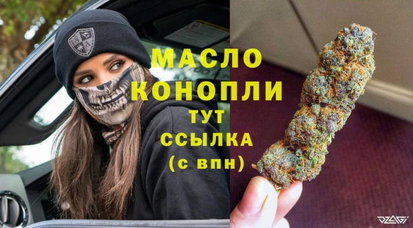 твердый Надым