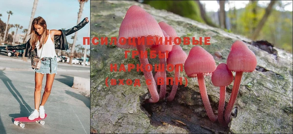 твердый Надым