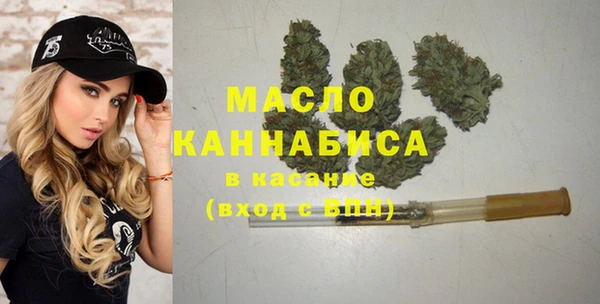 твердый Надым